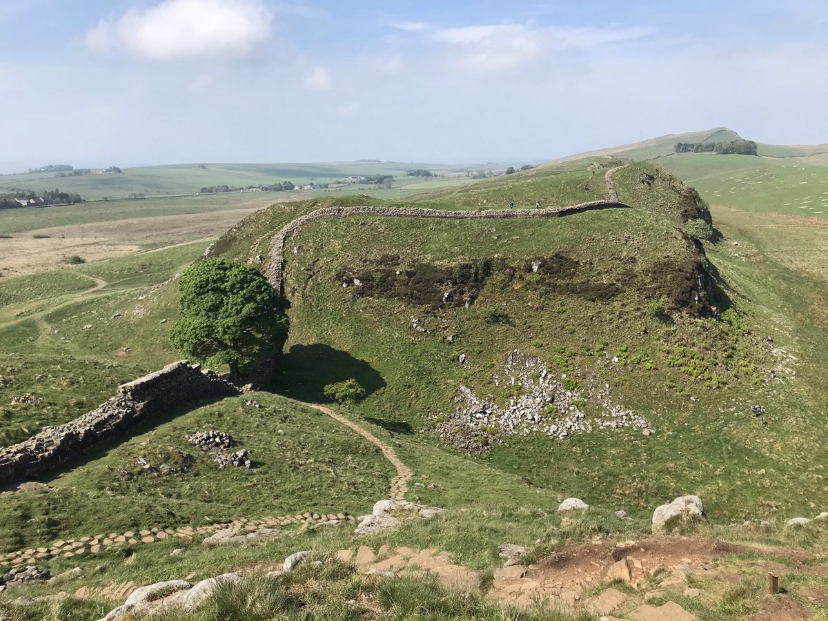 MGS_History tweet media