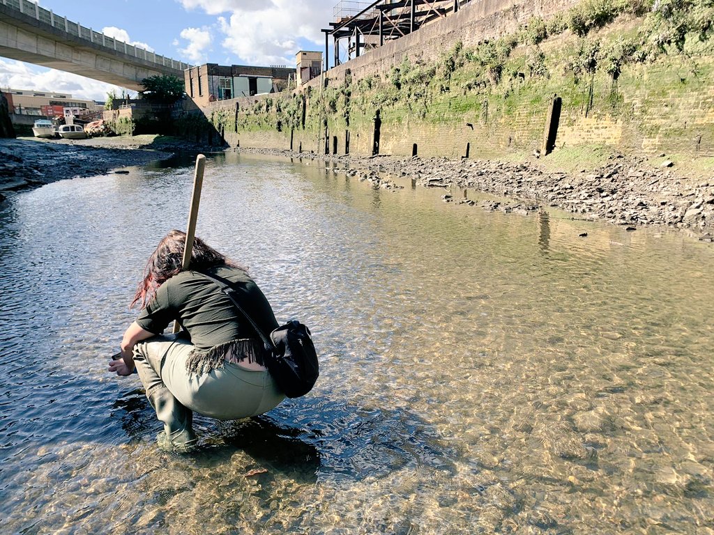 dr amy cutler (@amycutler1985) on Twitter photo Myself and my collaborator Alice McCabe are performing on the penultimate night of <a href="/Deptfordx/">Deptford X</a> ! Come see our flower/plant arrangements & projections inspired by the creek's ecologies, 8pm-8.30 this Sat night at the Deptford Creek Discovery Centre! Myself and my collaborator Alice McCabe are performing on the penultimate night of <a href="/Deptfordx/">Deptford X</a> ! Come see our flower/plant arrangements & projections inspired by the creek's ecologies, 8pm-8.30 this Sat night at the Deptford Creek Discovery Centre!