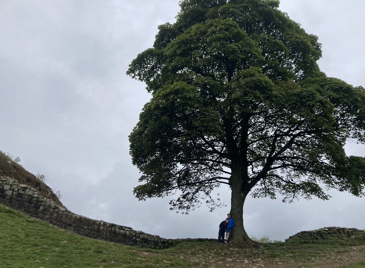 Shocking and senseless, felling of #Sycamore Gap Tree. It’s a sad symbol of our growing disconnection from nature. Even more depressing in a week where @Natures_Voice reporting 1 in 6 species in UK are at risk of extinction & #Rosebank oil field has been given go ahead.