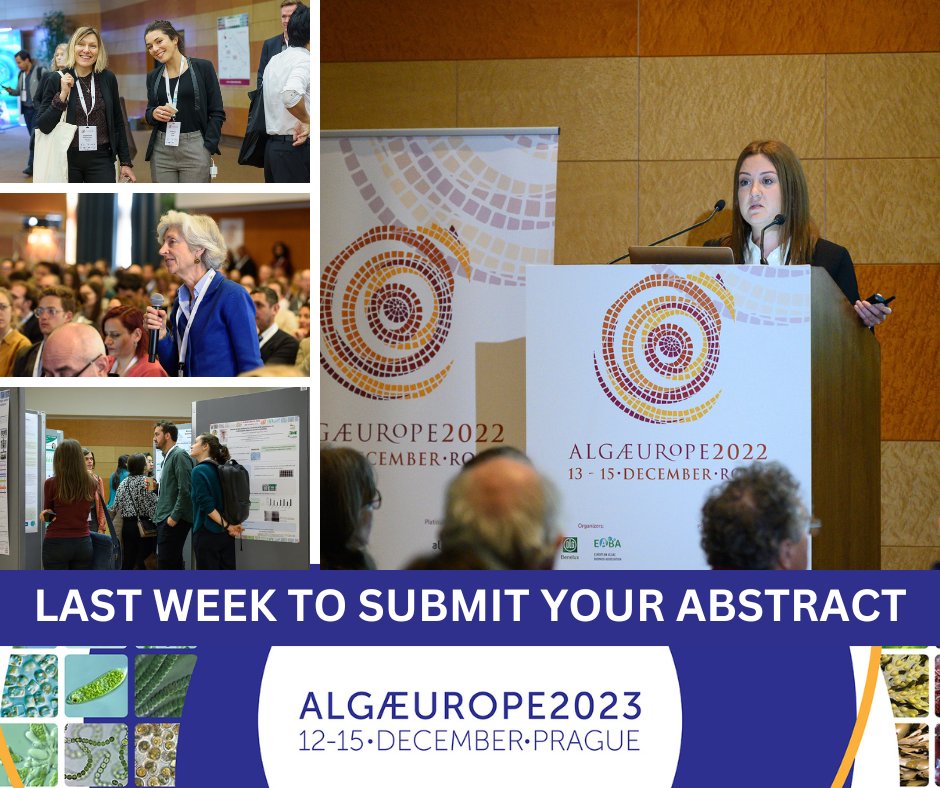 AlgaeCongresss's tweet photo. 📢 Attention All Algae Researchers: THIS IS THE LAST WEEK TO SUBMIT YOUR ABSTRACT. The final deadline to submit your abstract is October 2, 2023.

https://t.co/quoEMabIqw

#algae #algaeurope #science #research #technology #abstractsubmissions #eaba #dlg https://t.co/EksDmEFrCq