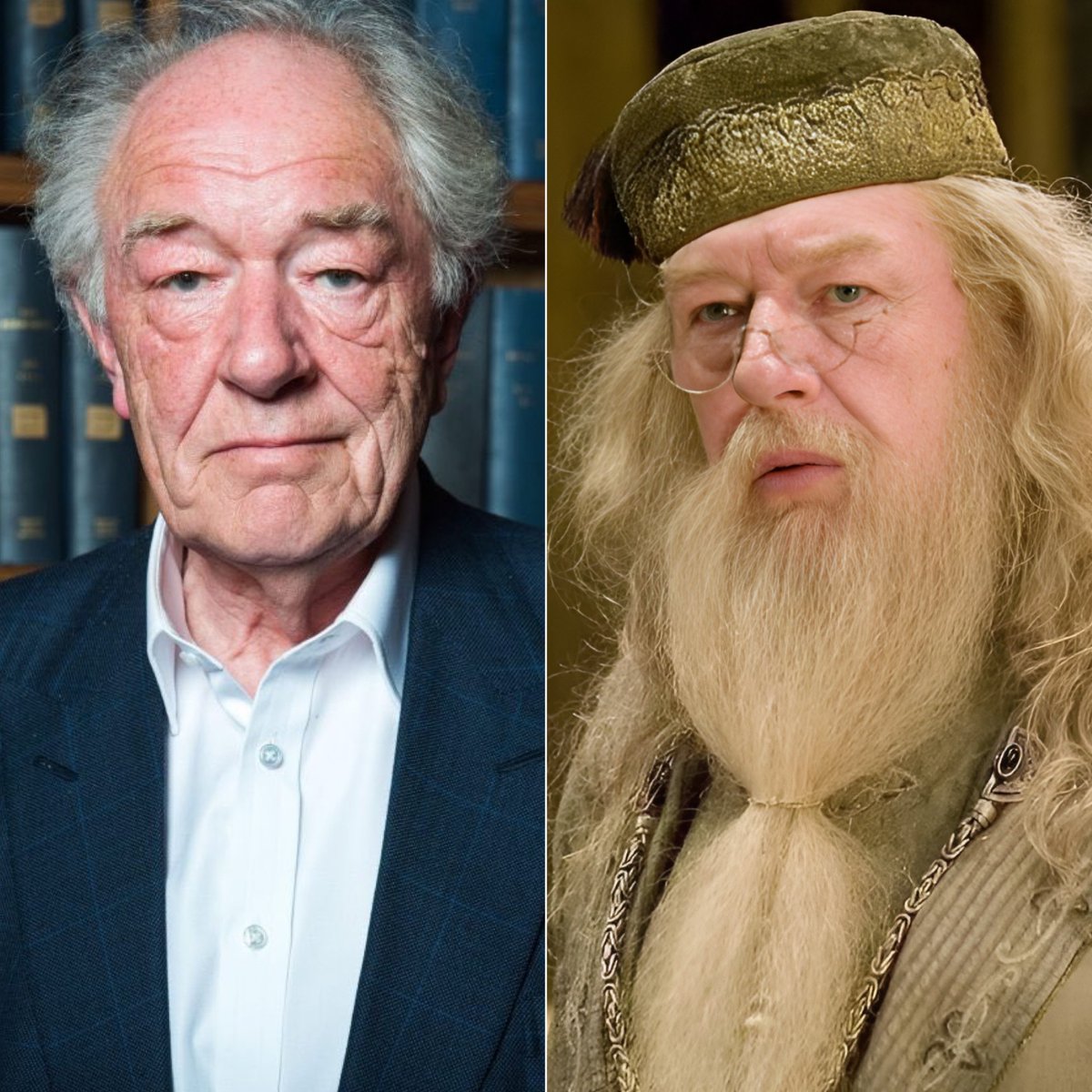 Rest in Peace Michael Gambon! He has died from pneumonia. He perfectly portrayed Professor Dumbledore in the films 3-8. Raise your Wands /*