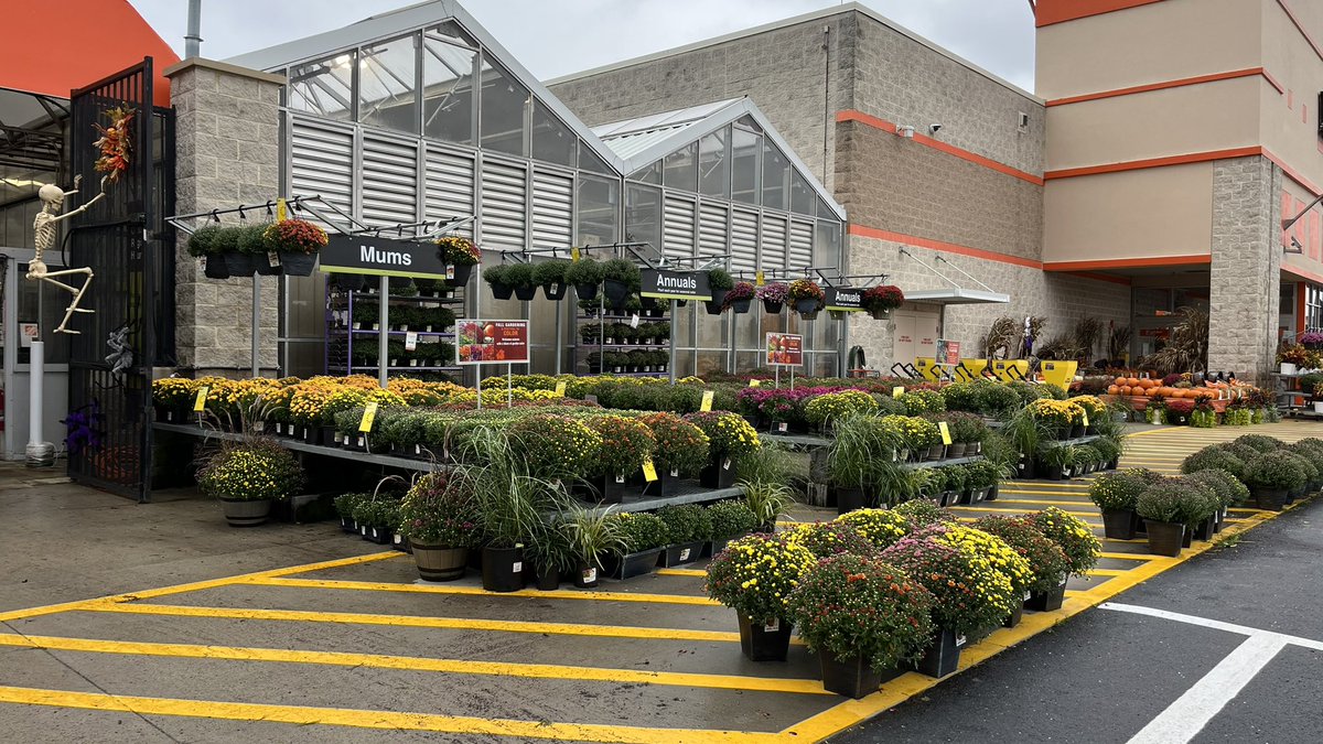 AmillerBell's tweet photo. Mums, Mums, Mums galore and plenty more in 4120! What a beautiful garden center! Great job Matt &amp; Maureen! https://t.co/eMKn77I54f