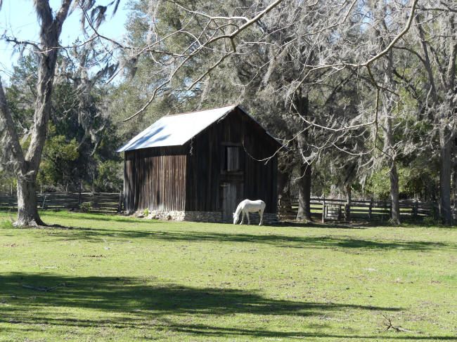 Kathleen Walls tweet media