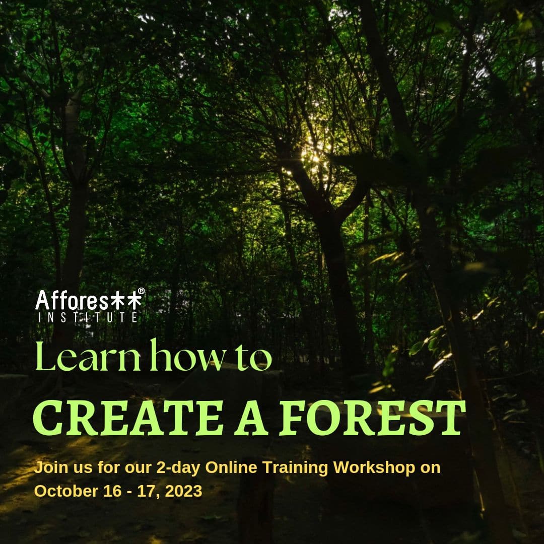 Join us for our 2-day Online Training workshop on 16th- 17th October, 2023 (6 PM to 10 PM, IST) With a focus on adapting the Miyawaki methodology of afforestation. Fee:- INR 35,000/USD 500 Do write to us with the statement of intent on training@afforestt.com. #onlinetraining