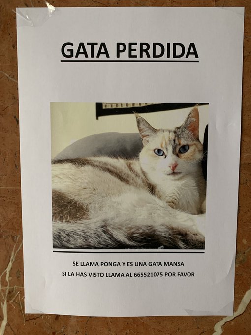 Por zona paseíllos-pajaritos