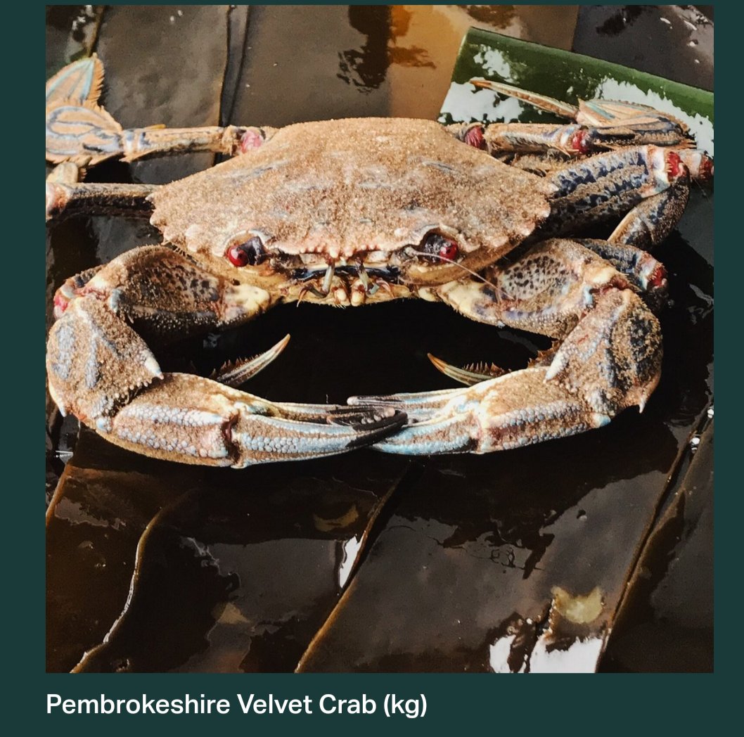 Had a cancellation for tomorrow night so there is a table available. I have a lovely Pembrokeshire velvet crab bisque with cuttlefish and brown shrimp on the menu. Link in bio. Please retweet.