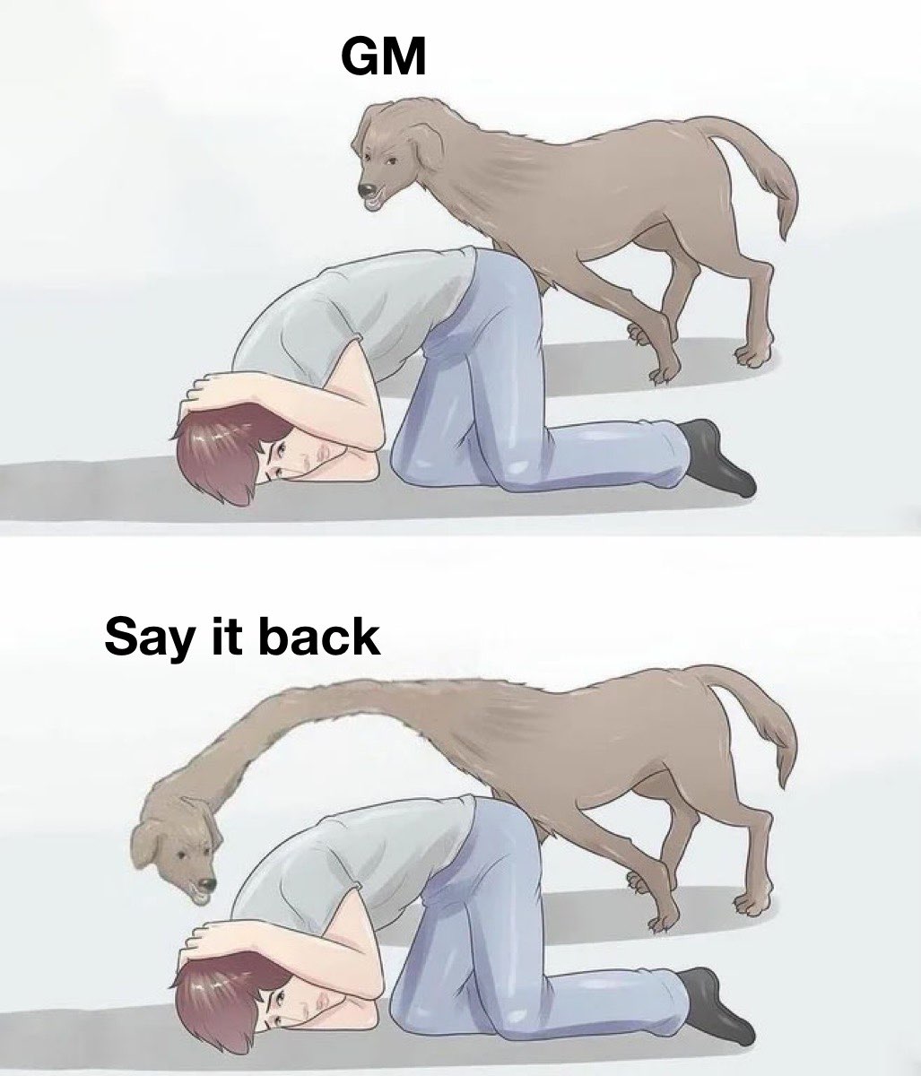 Cymbal.xyz tweet media