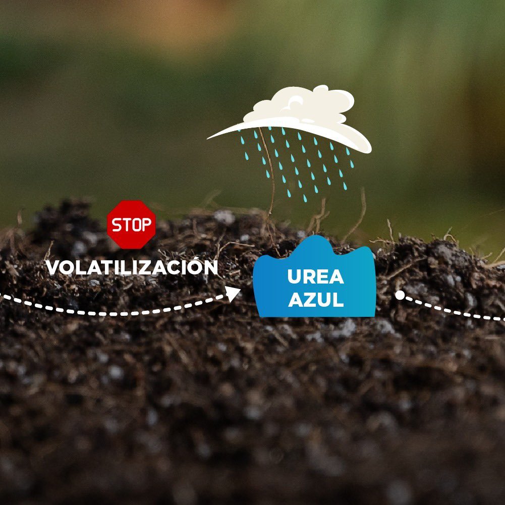 nutrien.ar tweet media