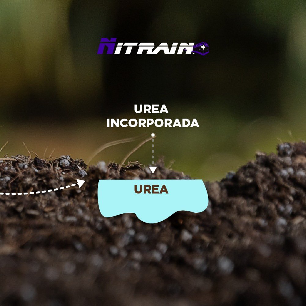 nutrien.ar tweet media