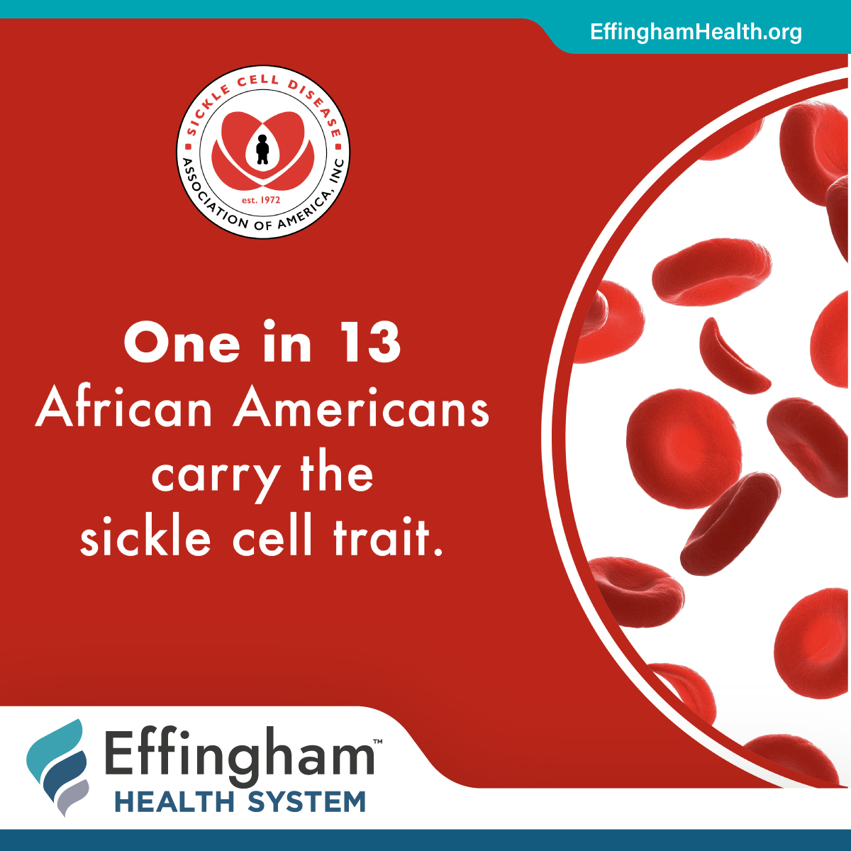 September is National Sickle Cell Awareness Month, designated by Congress to help focus attention on the need for research and treatment of sickle cell disease. For more information on how you can help increase awareness or get involved directly, go to: 

sicklecelldisease.org