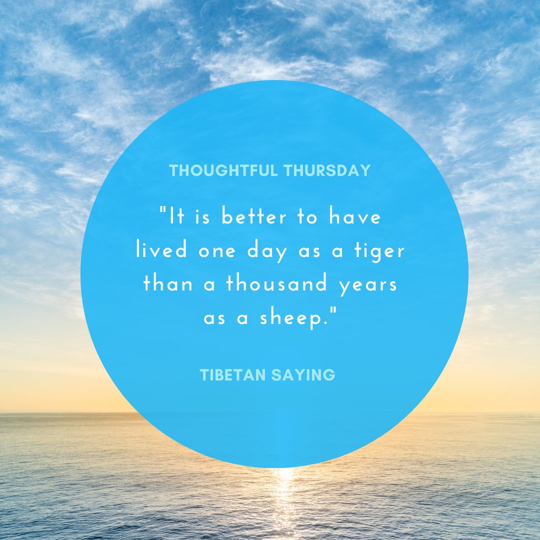 InessenceBusSol's tweet photo. Living life to the fullest and finding the strength to pursue your passions and purpose is important. Take risks, embrace opportunities, and live boldly like a tiger. Every moment is precious so make the most of it! 💪🐯
#thoughtfulthursday #freelancers #inessencevirtualmarketing https://t.co/2tznLRDKx2