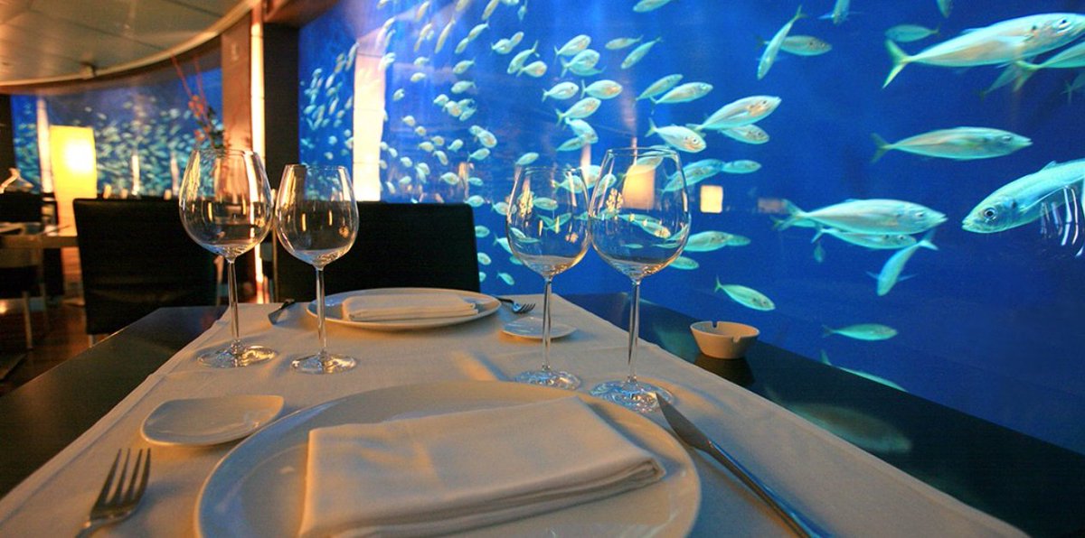 Don't forget that today's dinner will be in the Submarine Restaurant in Oceanographic!

It's the only place where you can enjoy seafood so fresh that waves you back!🐟

See you there!

#UnderwaterDinning #PROVE23 #Oceanographic #UPV #Valencia