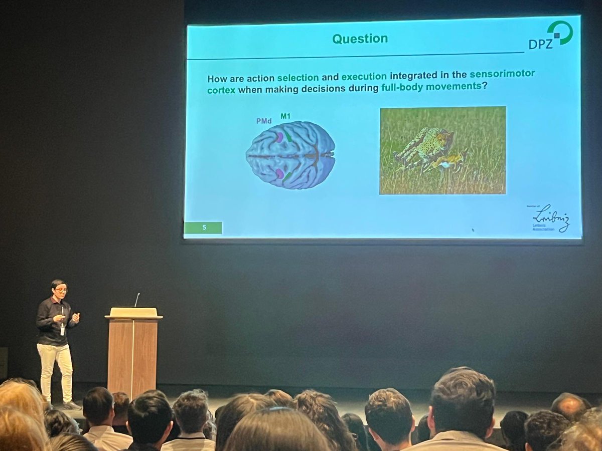 Zurna90's tweet photo. Last week we had the great opportunity to present our ongoing research at the #SimCo.
Thank you so very much for the wonderful organization @MIcheleABasso1 ,@CoryMillerMarmo & everyone else I missed🙏🏾.
Looking forward to the next one already.
@smgDPZ @sfb1528 @CNL_DPZ @DPZ_eu https://t.co/TJRISoU7gu