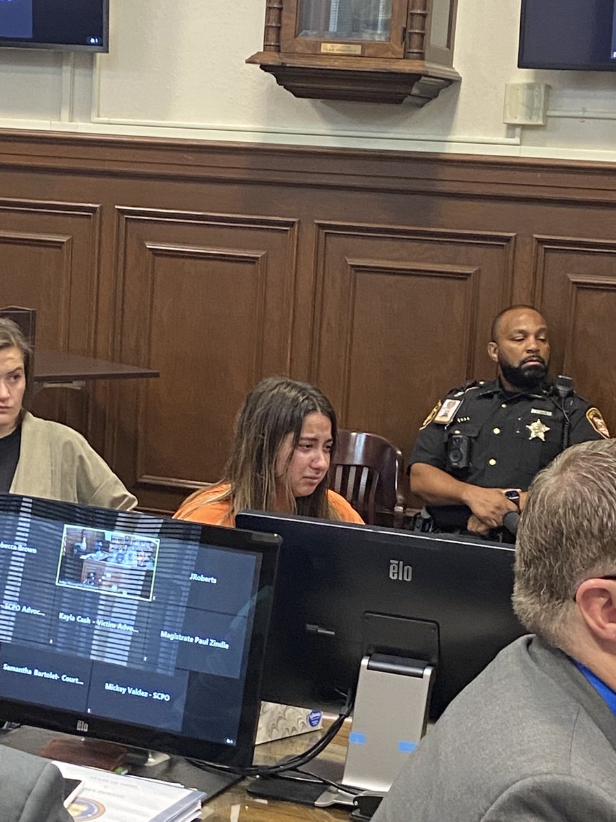 Sydney Powell was sentenced to life in prison with possible parole after 15 years for the slaying of her mother Brenda.