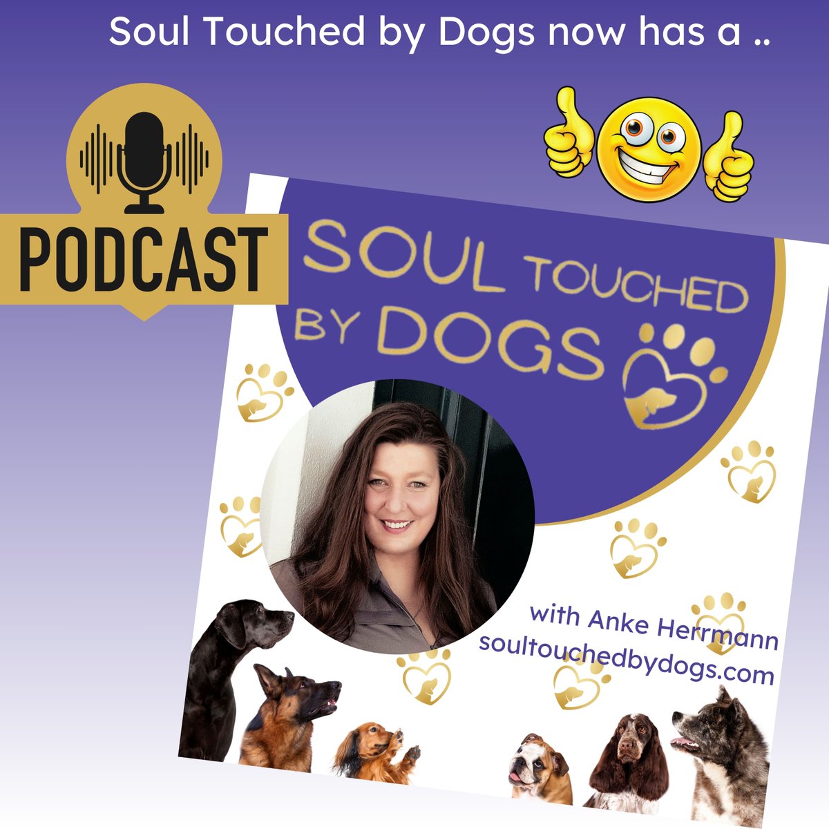 Anke Herrmann tweet media