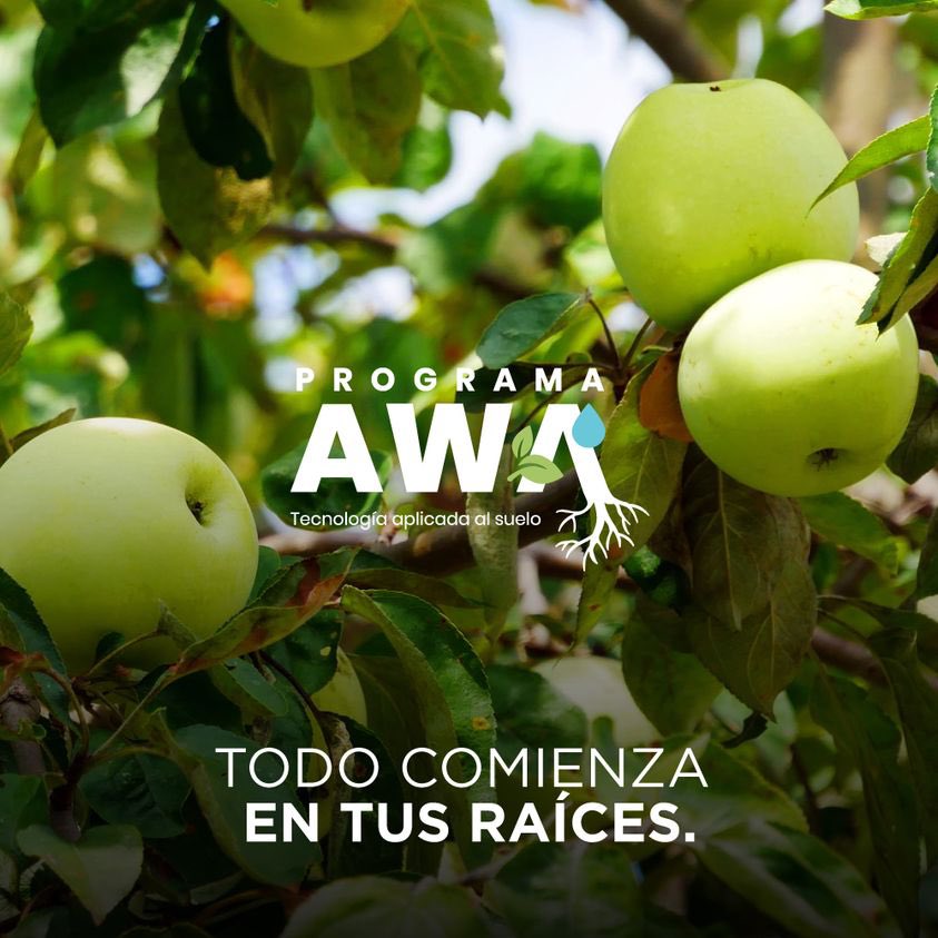 ¡Toda la eficiencia de que buscas, en un solo programa de productos!
✅ AWA es un programa de manejo de suelos y agua que incrementa la eficiencia en la utilización de los nutrientes, agua y productividad.
➡️¿Conoces sus beneficios?