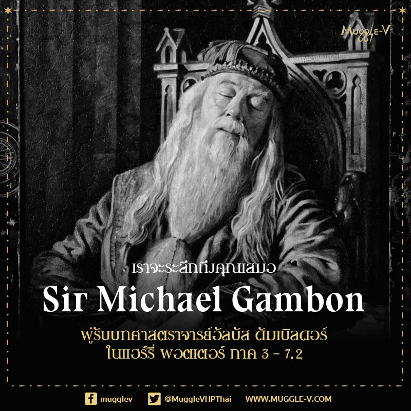 Muggle-V.com tweet media