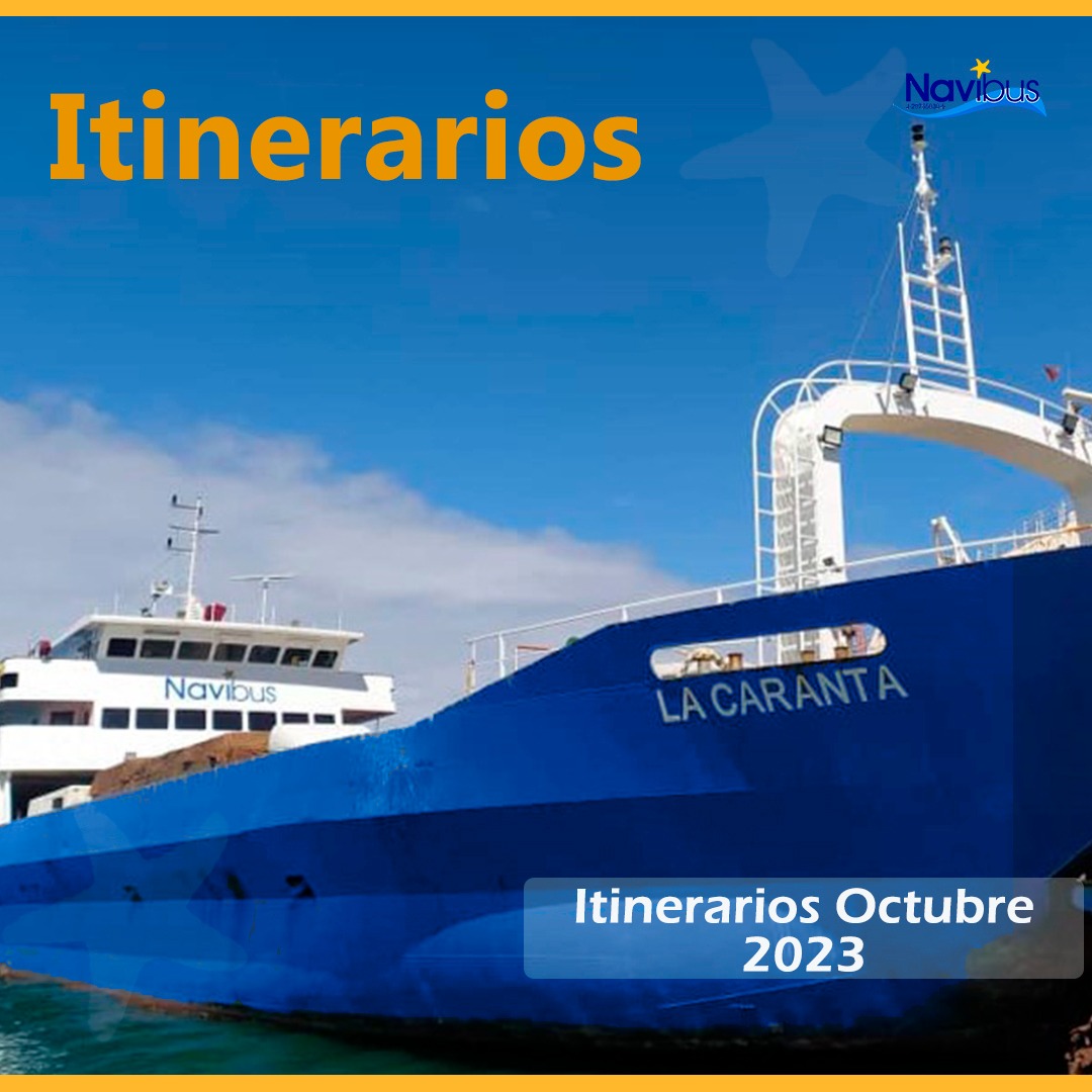Navibus's tweet photo. DESLIZA Y CONOCE NUESTROS ITINERARIOS DEL MES DE OCTUBRE
✅PDP-PLC
✅PLC-PDP
Para más información puedes escribirnos a través de mensaje privado😉
#UsuarioNavibus
#NuevosHorarios
#PDP
#PLC
#LaRestinga
#LaCaranta https://t.co/EraURY8Qp1