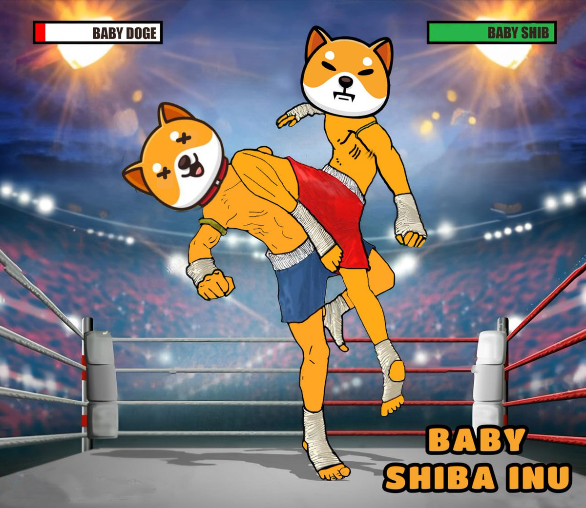 SaiyanSkills's tweet photo. @zachhumphries 10x? With #BABYSHIB, I will 1000x everything in my life 

The only real #memecoin out there, be early and join the #BabyShibArmy, we make history everyday.

Feel the $SHIB energy.

We flipped $DOGE now is the time we flip #BabyDoge https://t.co/CbfG5RRnpL