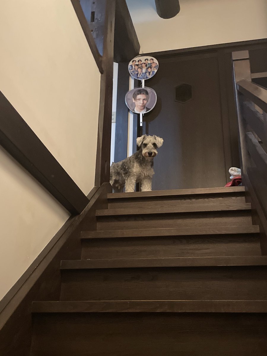 ヘアスタイル変えて男前なアル✨