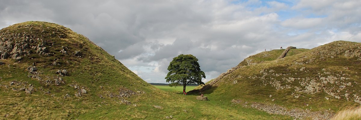 RSPBSherwood's tweet photo. We are devastated to hear that the iconic tree at #SycamoreGap at #HadriansWall (which also featured in Robin Hood - Prince of Thieves) has been found cut down and we hope the police investigation reveals how this has happened. 🌳 https://t.co/SfoFEnuHKR