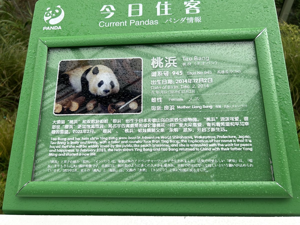 lovepanda_co's tweet photo. 呜呜呜 我的樱桃姐妹 https://t.co/TvyMVyQuE3
