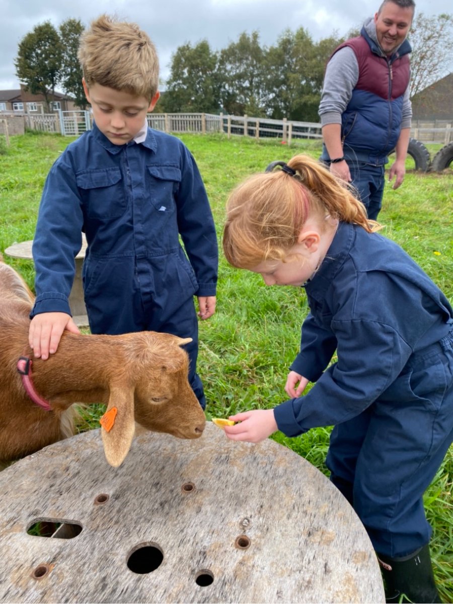 PembrokePrimary's tweet image. Thank you so much @ThornwellSchool for allowing Dosbarth Pen Y Fan to spend the morning at your farm.  The children thoroughly enjoyed their time with the animals. So much discussion and happiness!  #authenticlearning @FceGyg @EAS_Equity