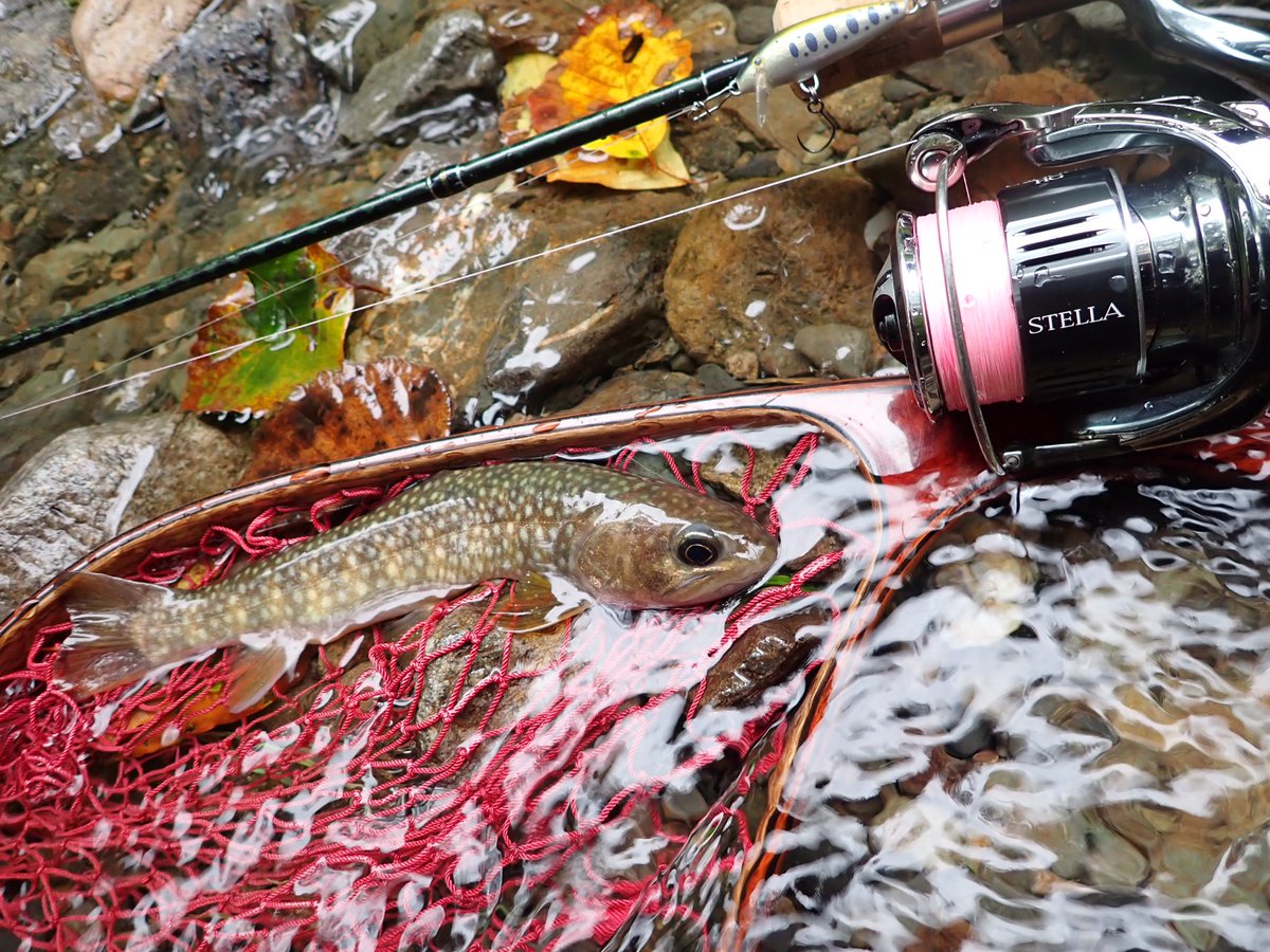8DDPLPd09dGG31k's tweet photo. 釣行日9月26日
2尾目の可愛い岩魚ちゃん^_^
#RAPALA
#ラパラ
#ラパラジャパン
#COUNTDOWN
#カウントダウン
#COUNTDOWN3
#カウントダウン3
#CD3
#RAPLINEPE
#ラッププレミアムショックリーダー
#岩魚 https://t.co/VegcAvuDIT