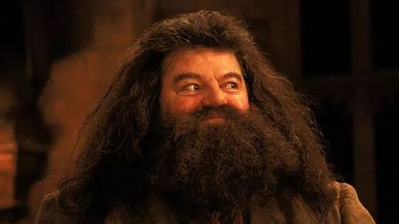 thiegonovais's tweet photo. Michael Gambon, Helen McCrory, Robbie Coltrane, Alan Rickman e tantos outros. Como dói se despedir de atores que fizeram e farão parte da nossa geração com os filmes de Harry Potter. Eternos! 🖤 https://t.co/tsK4yrGKZ8