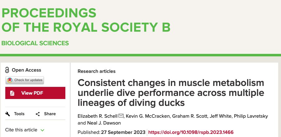 University of Miami BGSO tweet media