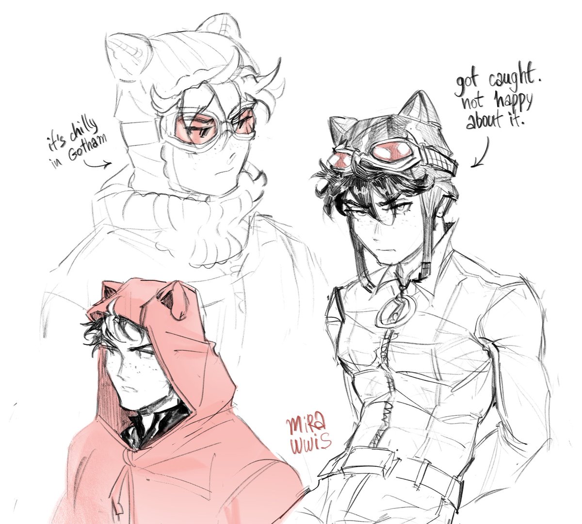 au in which jason is adopted by catwoman instead of batman and becomes stray 

[#jasontodd #dccomics]