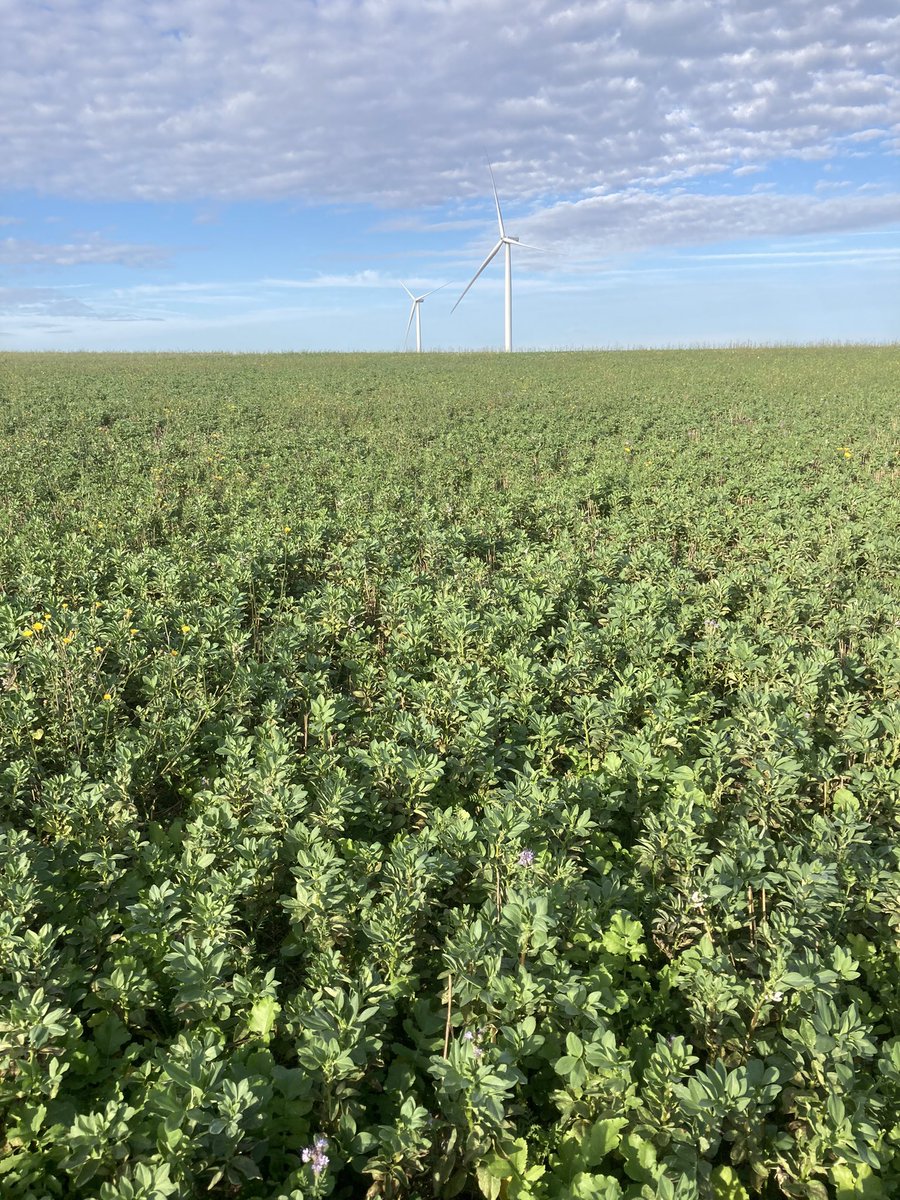 Olivier COSTE tweet media