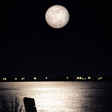 Red 🦋🦋🦋 tweet media