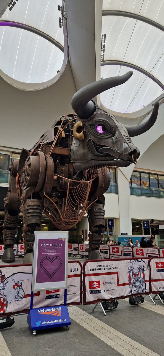 MidRCGP's tweet photo. Arrived in Birmingham ahead of our new members' ceremony tomorrow and was met by Ozzy the Bull in full roar 😁 What a welcome 😁 #ozzythebull #networkrailbhm https://t.co/qaEYj2EXTo