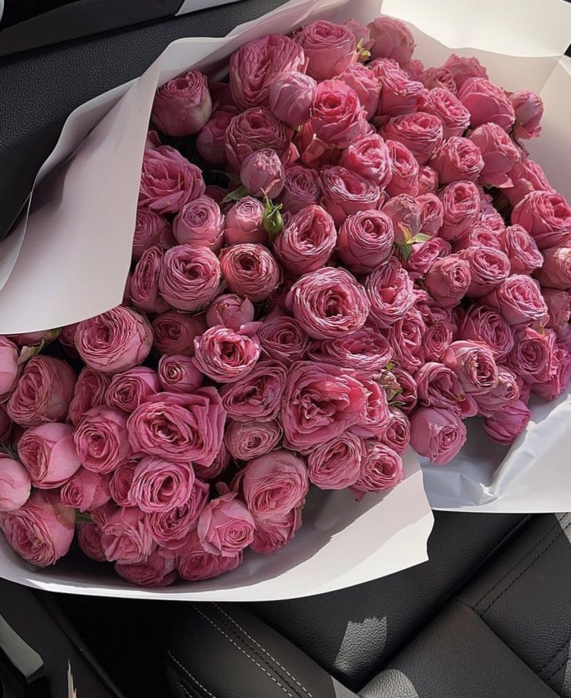 i3Moment's tweet photo. Pink💓 https://t.co/HrVChsK4RO