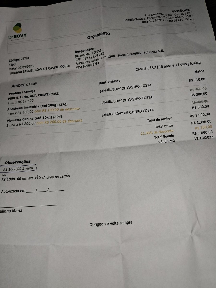 zoldycck's tweet photo. Me chamo Amber, estou com uma hemorragia relacionado a Piometra (o tratamento é fazer a cirurgia) Não estou me alimentando direito, a infecção está me impedindo de andar.

Ajudem no valor que puderem, de 1,00 ajuda!!

https://t.co/7sCz5CJJgG

PIX: (85) 9.99009784 (Banco inter) https://t.co/pEGlmIxKHn