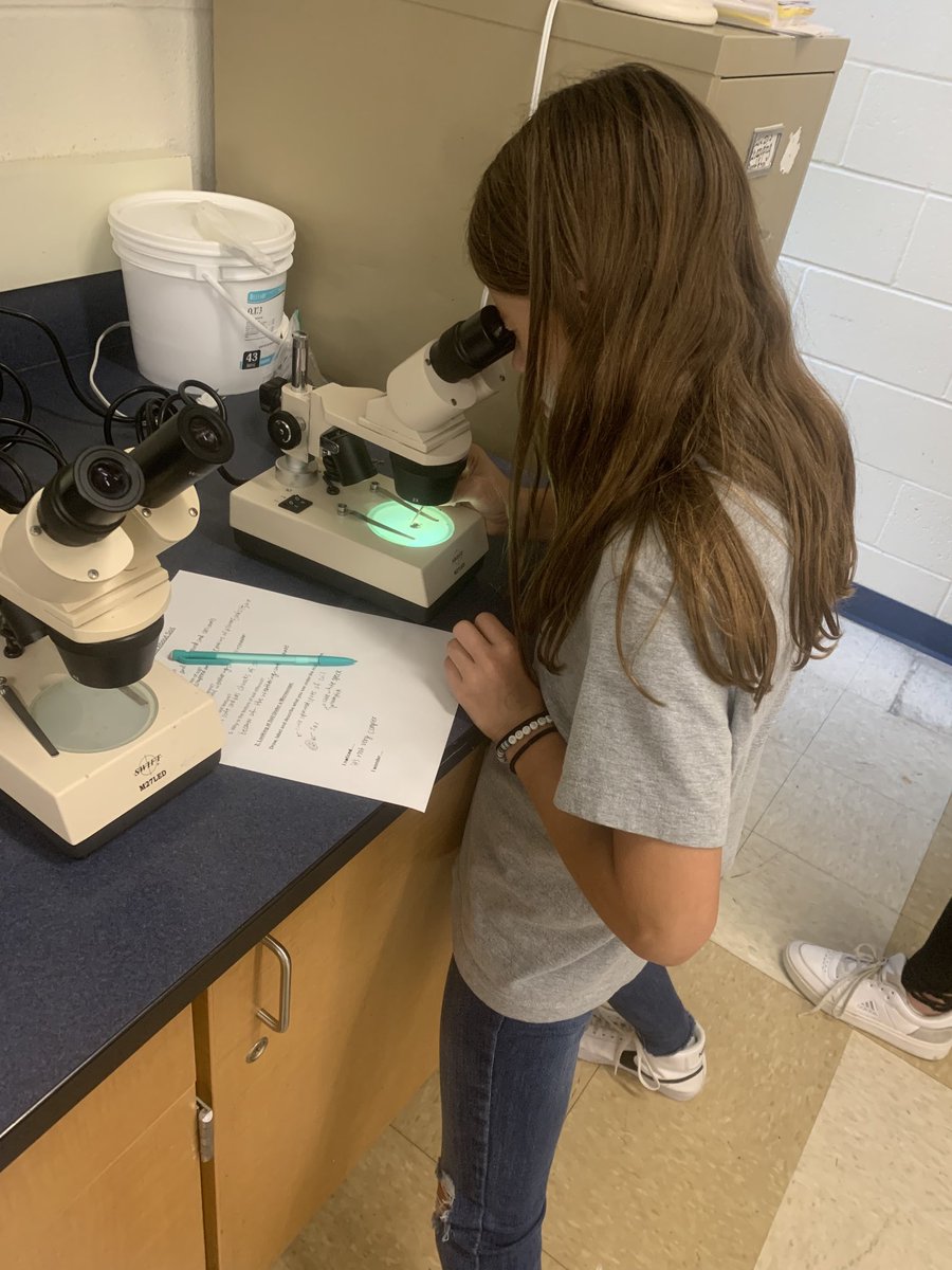 KimClancy7's tweet photo. Students taking an up close look at soil as they enhance their observations using a microscope. #glcsMS https://t.co/mEV6nlmlgO
