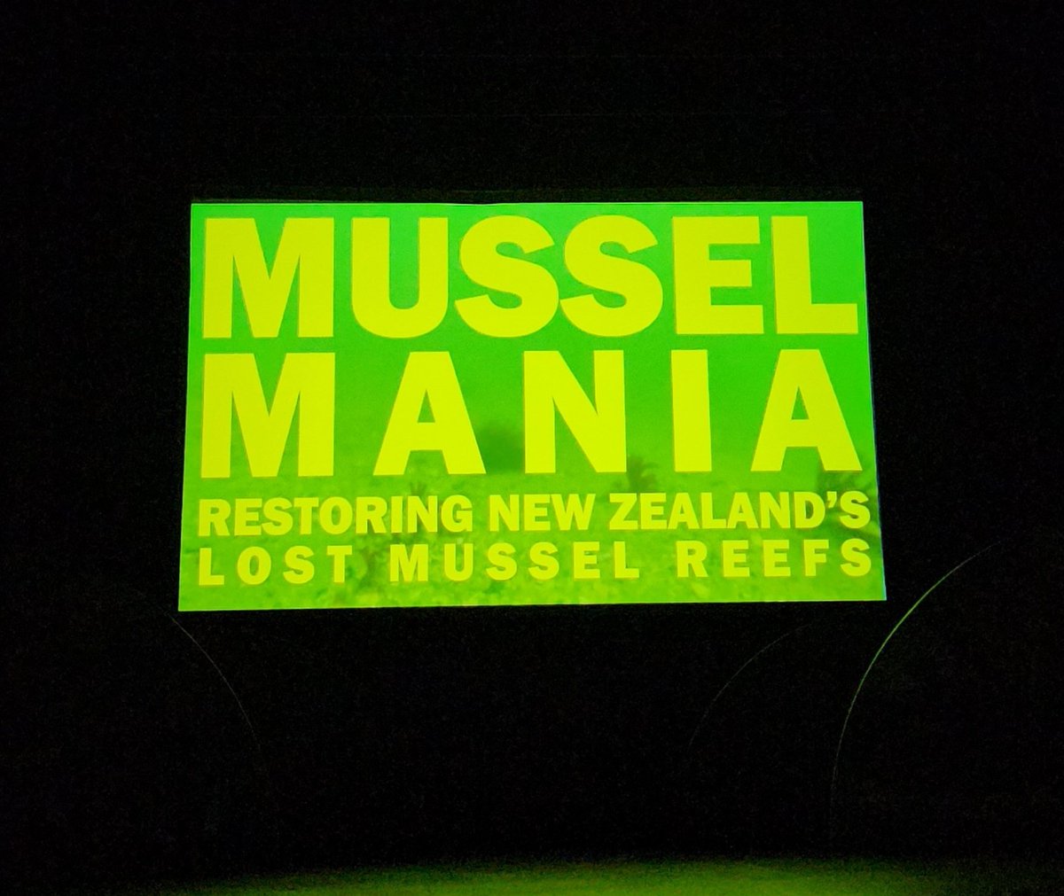 Emilee Benjamin tweet media