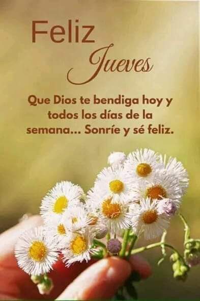 Buenos días 🌞
Bendecido día 🙏