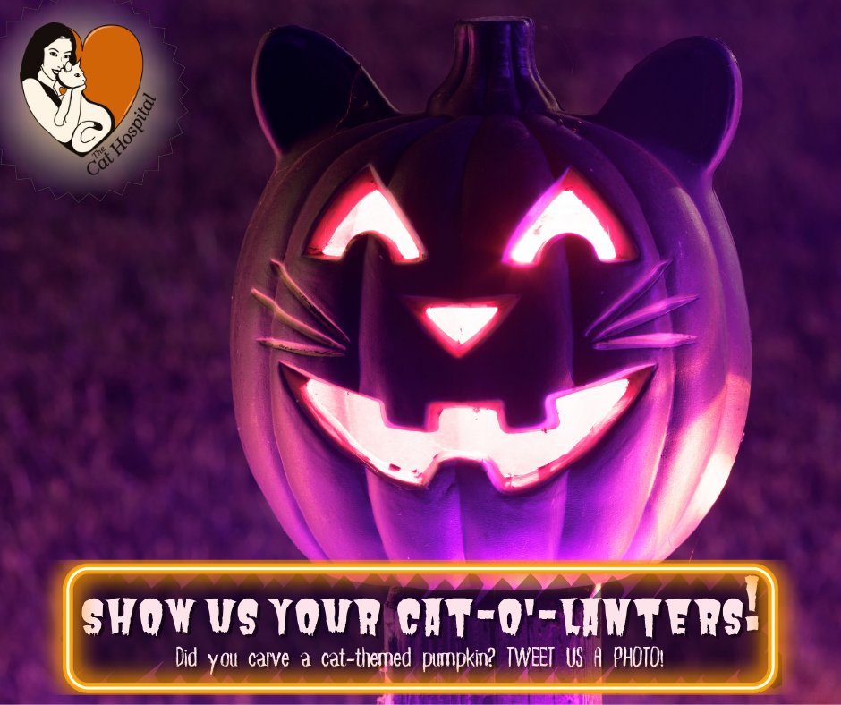 Hey cat lovers! Show us your cat-o-lanterns! TWEET US A PHOTO! 🎃 Happy Meowloween!

#Halloween #catsoftwitter #jackolantern #ottawacats