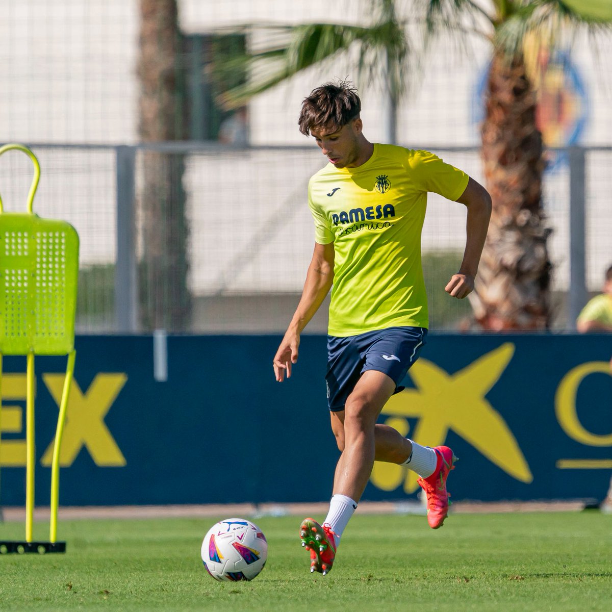 Cantera Grogueta tweet media