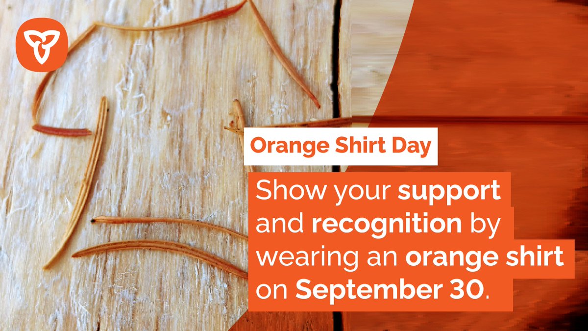 🟠 On September 30, wear an orange shirt to honour Indigenous children and Survivors who were taken from their communities and families and forced to attend Indian Residential Schools.

Ontario.ca/LearnTheLegacy
#HonourTheChildren #EveryChildMatters #LearnTheLegacy