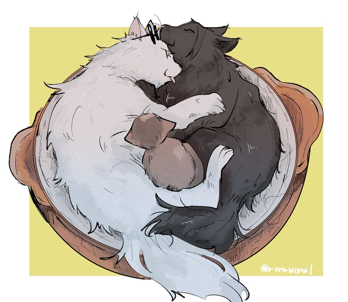 気に入ってるさしす(猫)