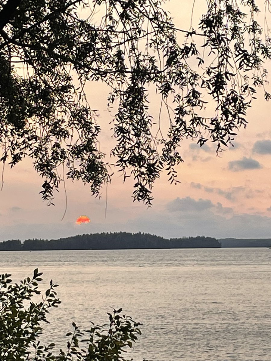 Hyvinvointialueiden johtajat olivat koolla eilen ja tänään. Paineet kasvavat. Turvallinen siirtymä on valmis, valtavat organisaatiot pääosin tehty. Palveluiden uudistaminen on alkanut, se kestää useita vuosia. Yhtäältä on huolta rahasta, toisaalta palveluista. Tästä selvitään.