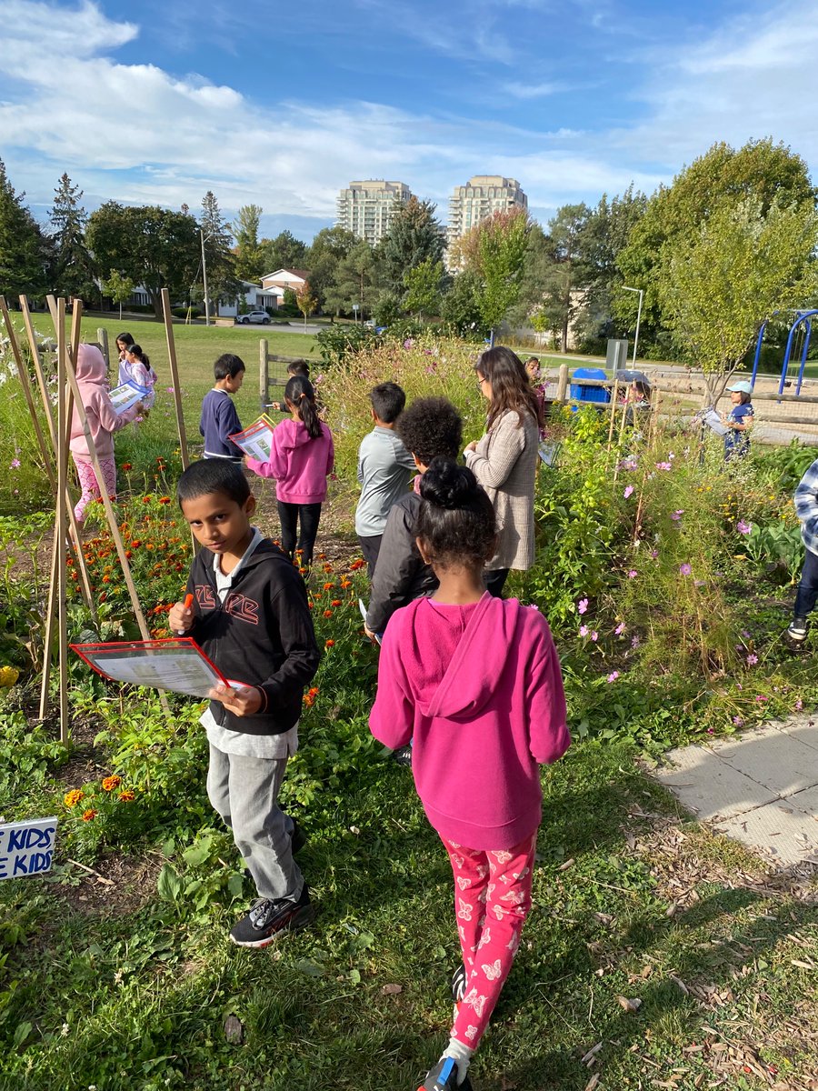 DPSSports_TDSB's tweet photo. Eco Club in full swing!
@Dallington_TDSB https://t.co/r1llHwYlye