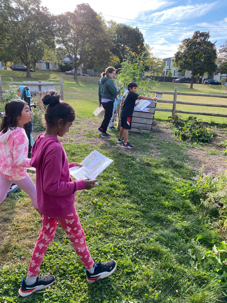DPSSports_TDSB's tweet photo. Eco Club in full swing!
@Dallington_TDSB https://t.co/r1llHwYlye