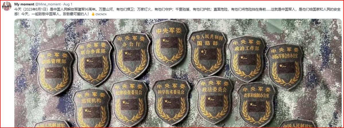 中国人民解放军军事科学院军事医学研究院研究员、少将陈薇的臂章与