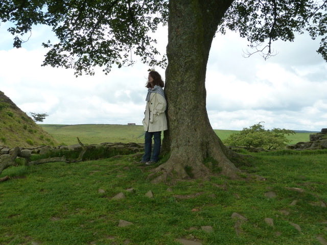 frankieshrapnel.bsky.social tweet media