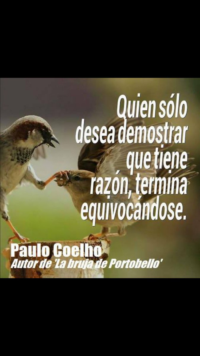 LydiaCruz7372's tweet image. 