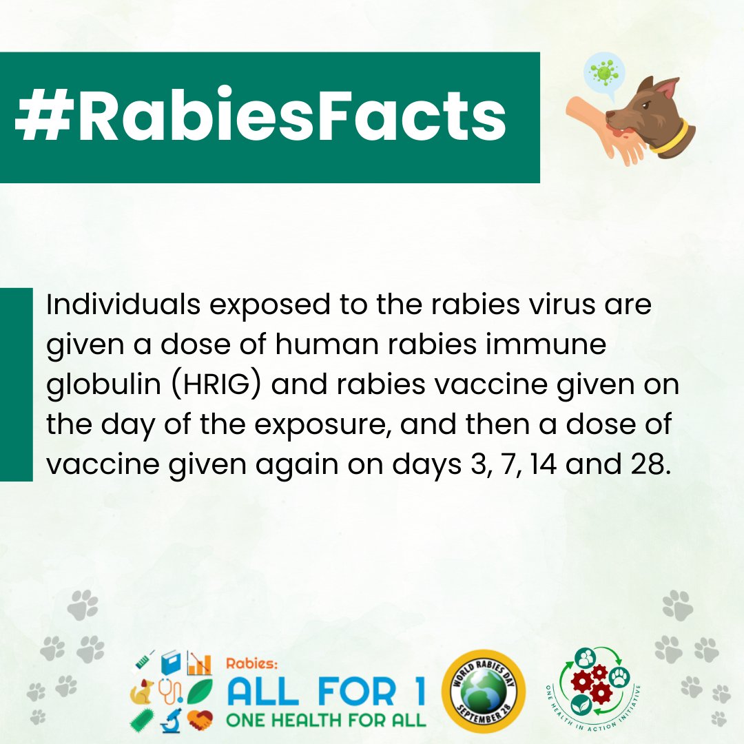 that can help us make a difference. Together, we can achieve #OneHealth4All.
#onehealth #WRD23 #RabiesAwareness #EndRabiesNow